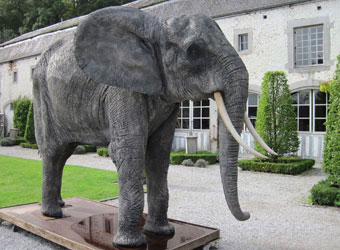Reconstructie olifant in polyester